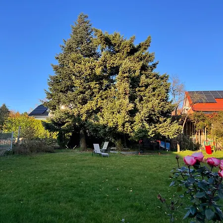 Neu! Grosse Ferienwohnung 3 Zimmer Mit Kueche Und Bad, 90 Qm Mit Netflix Und Ps5 Kaiserslautern
